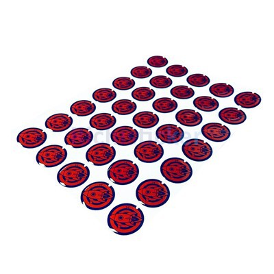 Können Kuppelaufkleber auf einem Skateboard verwendet werden?